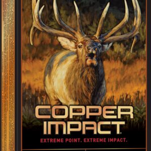 Winchester Ammo X300CLF2 Copper Impact  300WinMag 180gr Copper Extreme Point Lead Free 20 Per Box/10 Case
