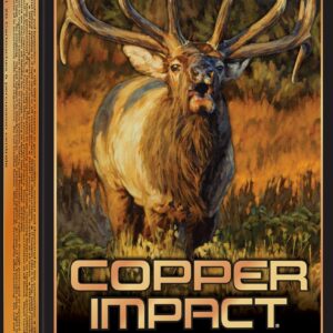 Winchester Ammo X300SCLF2 Copper Impact  300WSM 180gr Copper Extreme Point Lead Free 20 Per Box/10 Case